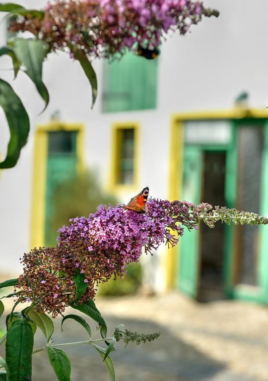 Landhotel Schwarzer Adler Suelzetal Dış mekan fotoğraf